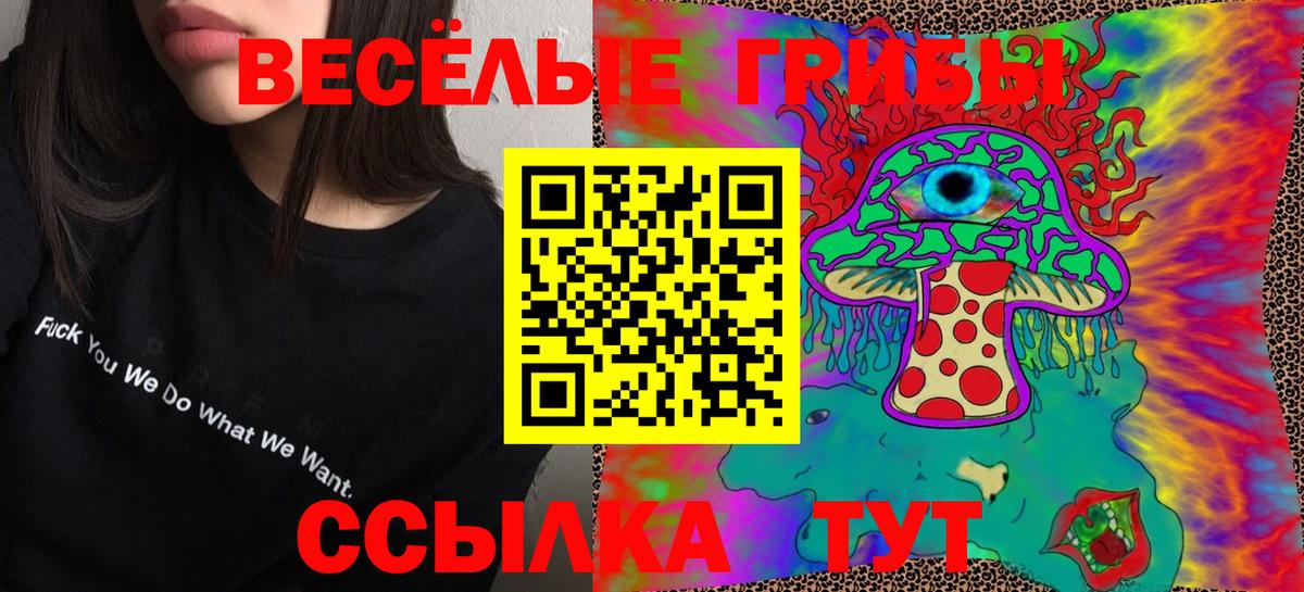 Галлюциногенные грибы Psilocybe  Вход с VPN  Волжск 